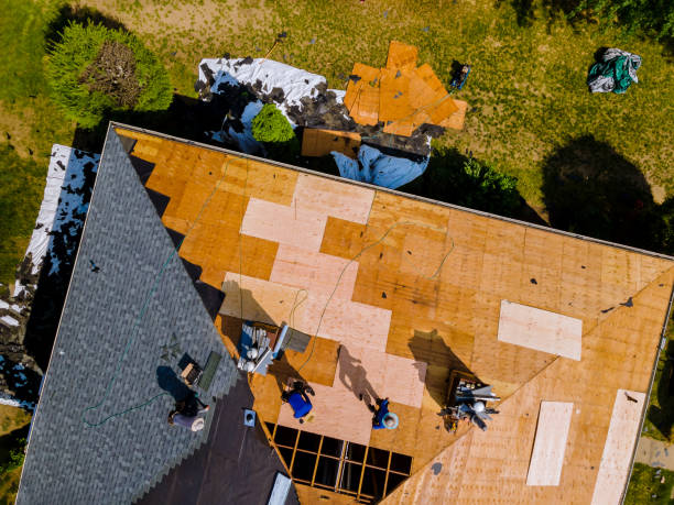 Best Emergency Roof Repair  in Livingston, AL