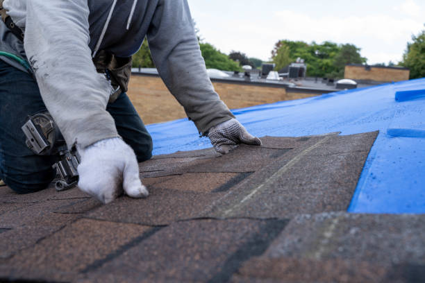 Best Residential Roof Replacement  in Livingston, AL