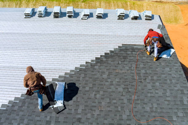 Best Storm Damage Roof Repair  in Livingston, AL