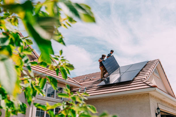 Best Roof Gutter Cleaning  in Livingston, AL