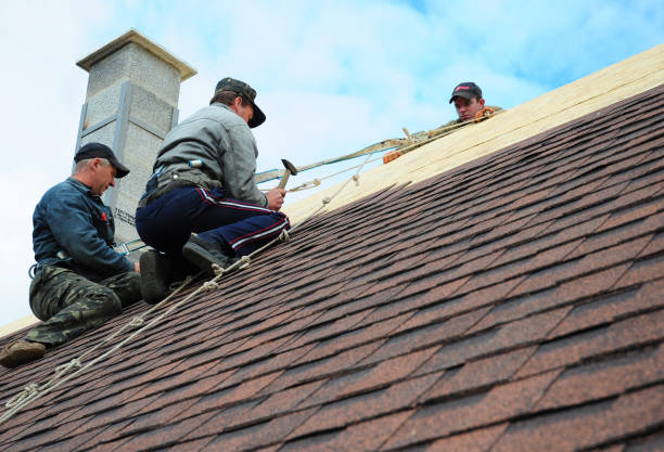 Best Roofing Contractor Near Me  in Livingston, AL